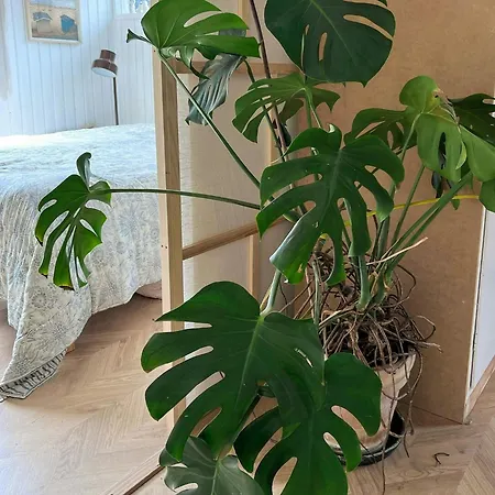Ferienhaus Med Pool Og Ro I Vejby